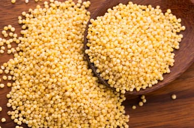 Foxtail Millet
